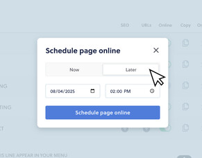 Schedule content like a pro: Introducing blog &amp; page scheduling at Rocketspark