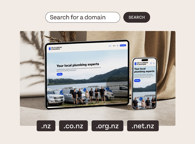 Example of registering a domain name on Rocketspark